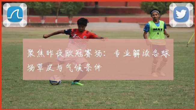 聚焦昨夜欧冠赛场:专业解读各球场草皮与气候条件